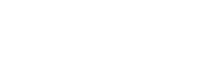 Sanitation Co Logo
